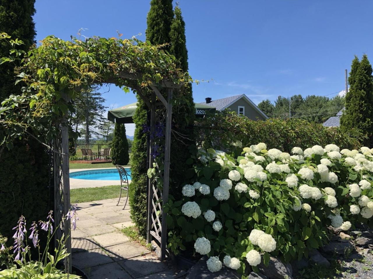 Motel Des Cedres シェルブルック エクステリア 写真